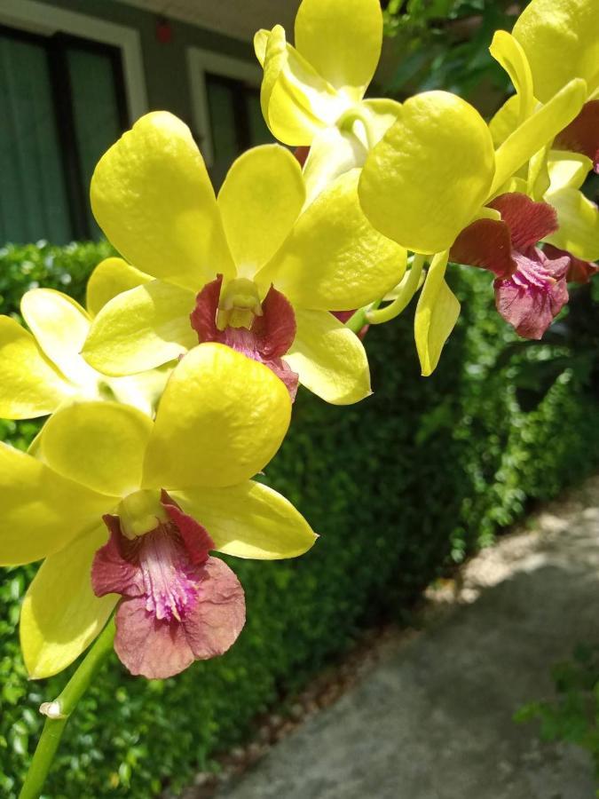 Blue Orchid Beach Krabi - Sha Certified Ao Nam Mao Bagian luar foto
