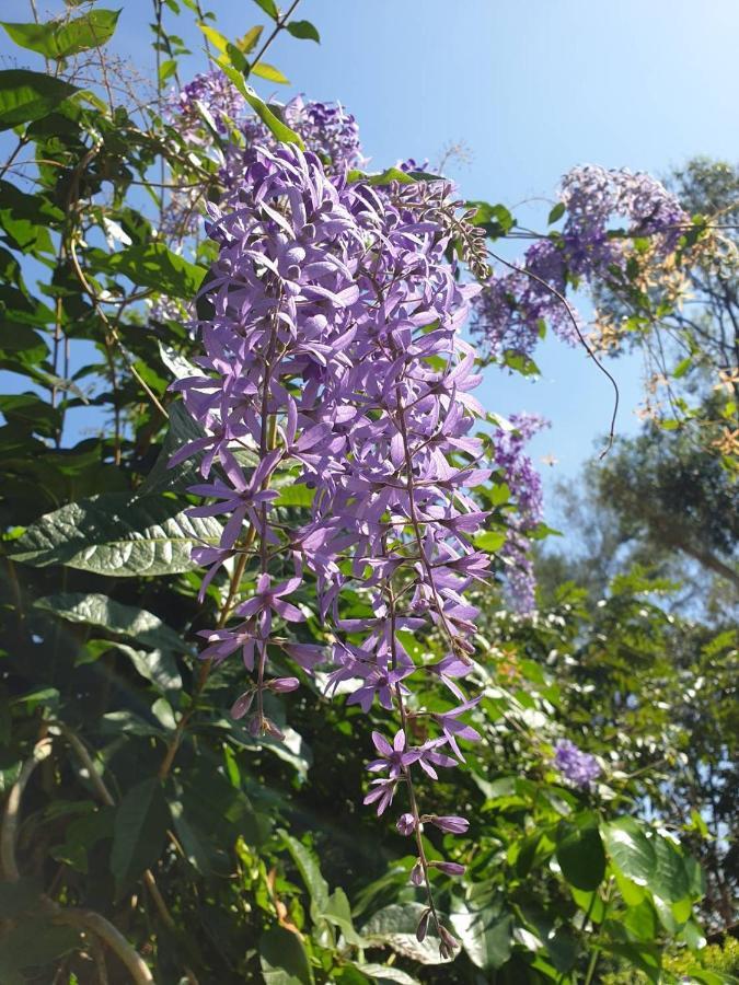 Blue Orchid Beach Krabi - Sha Certified Ao Nam Mao Bagian luar foto